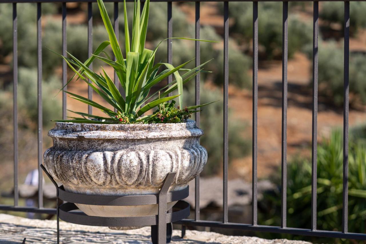 Hacienda La Buena Vida B&B En Appartementen Algarinejo Zewnętrze zdjęcie