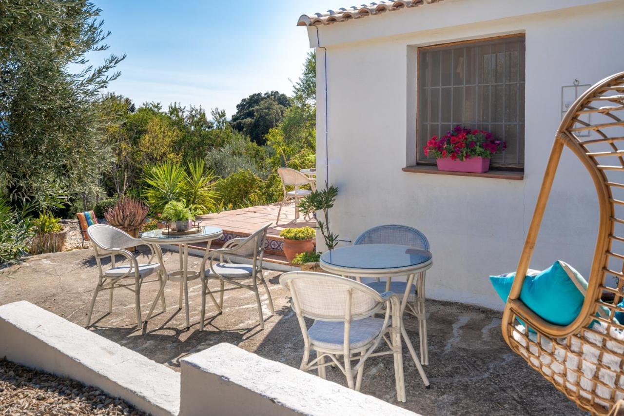 Hacienda La Buena Vida B&B En Appartementen Algarinejo Zewnętrze zdjęcie