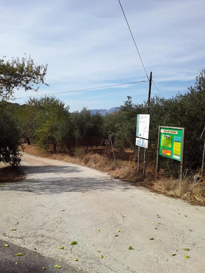 Hacienda La Buena Vida B&B En Appartementen Algarinejo Zewnętrze zdjęcie