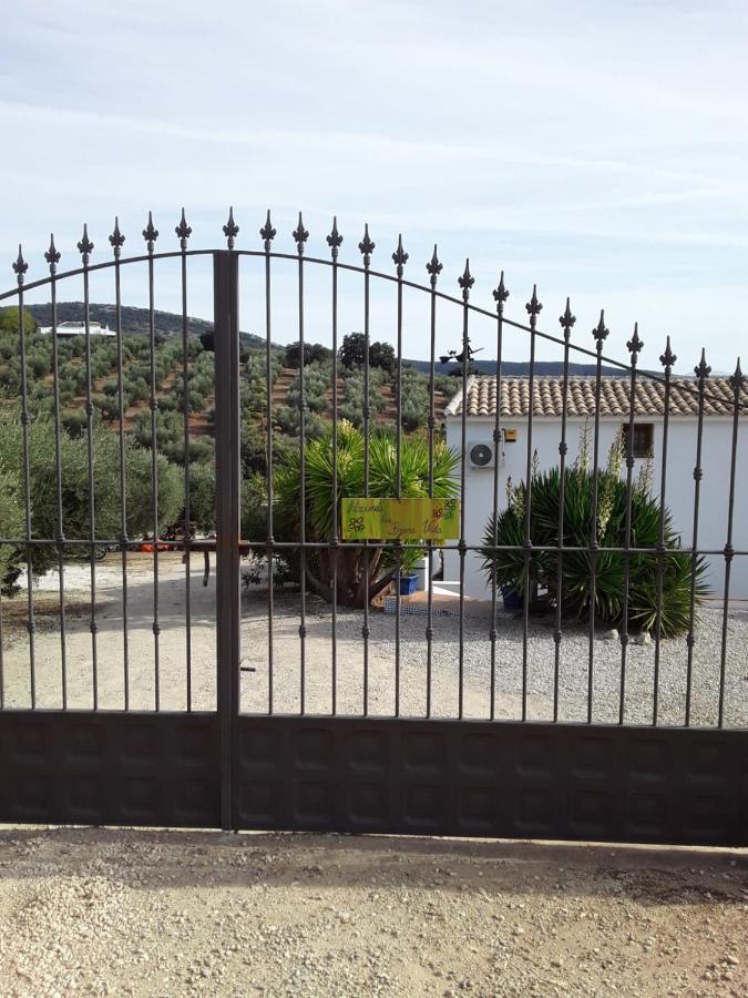 Hacienda La Buena Vida B&B En Appartementen Algarinejo Zewnętrze zdjęcie