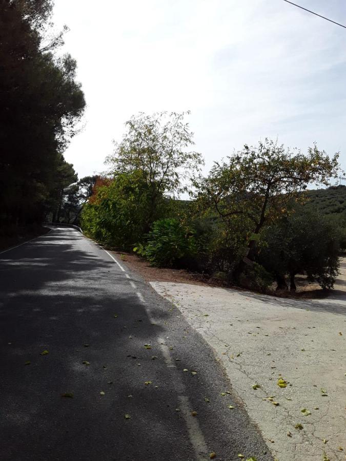 Hacienda La Buena Vida B&B En Appartementen Algarinejo Zewnętrze zdjęcie