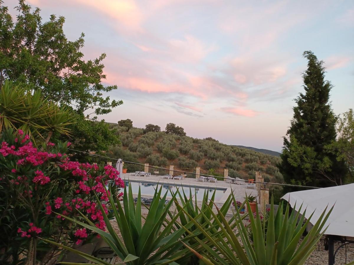 Hacienda La Buena Vida B&B En Appartementen Algarinejo Zewnętrze zdjęcie